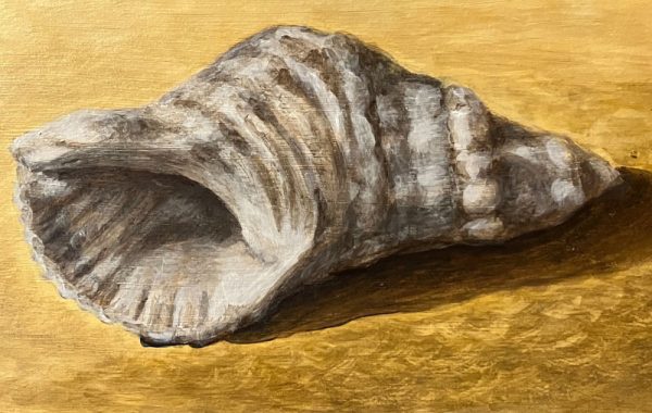 Seashell (Painting)